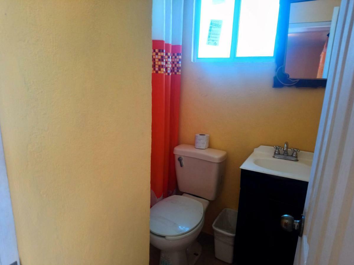 Tomas Wilson Mx Apartment Mexiko-Stadt